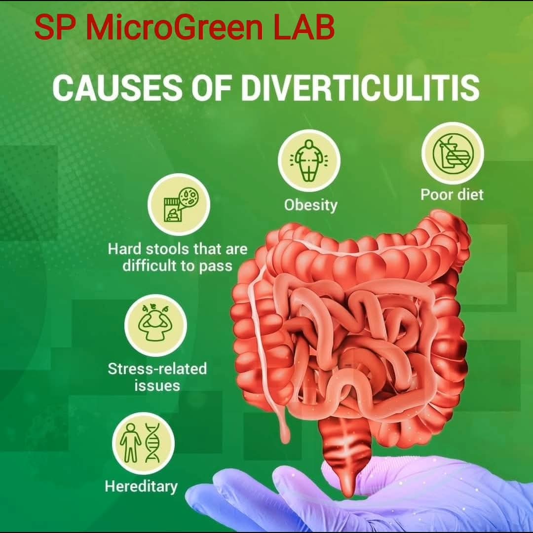 WhatsApp Image 2025-07-23 at 5.24.26 PM.jpeg